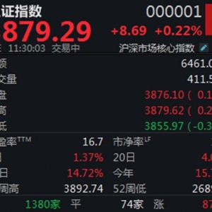 两市表现略有分化，创业板指半日上涨2.13%
