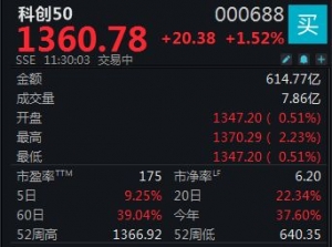 题材股活跃，科创50指数盘中创阶段新高