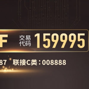 看好AI基建及算力需求，芯片ETF（159995）宽幅震荡，中芯国际大涨 ...