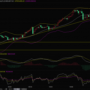 贸易紧张局势和美联储鸽派预期提供支撑，金价再创历史新高 ...