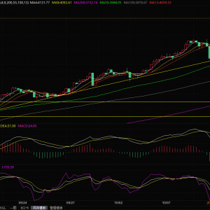 “刹不住车了”！强劲买盘势头持续不减，金价不断刷新历史高点 ...