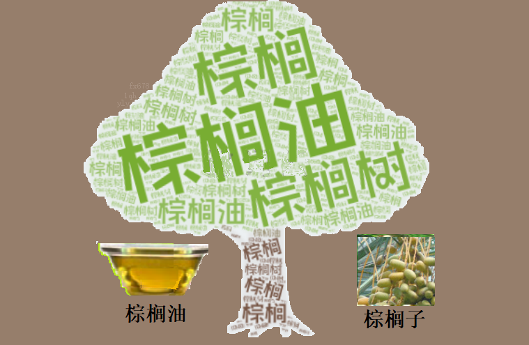 棕榈油价格逼近临界点，一份数据即将审判多空方向