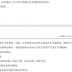 总裁张磊突遭停职、公司上半年净利几近腰斩 唐彬森创立的手游出海先锋“智明星通”神 ...