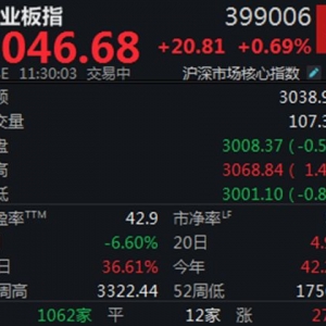 存储芯片概念再度大涨，创业板半日涨近0.7%