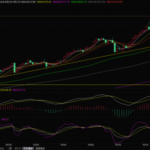 经济风险和美联储降息预期提振需求，金价飙升至新纪录高位 ...