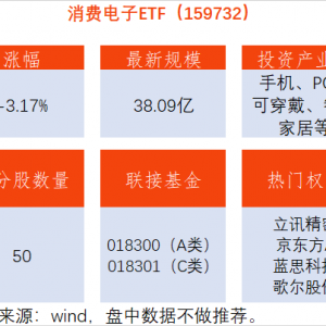 看好端侧AI创新成长！消费电子ETF（159732）跌3%，顺络电子跌6% ...