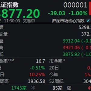 科技股集体回调，沪指半日下跌1%