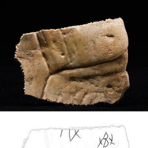 【高质量发展看陕西】文物焕活力，非遗正青春