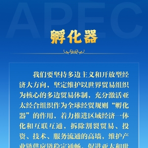 学习新语｜推动亚太合作，习近平主席生动阐释