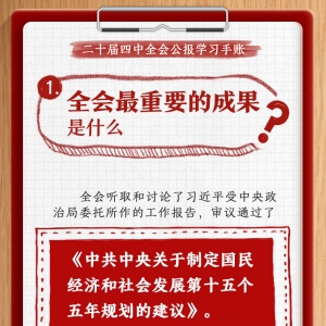收藏！党的二十届四中全会公报学习手账