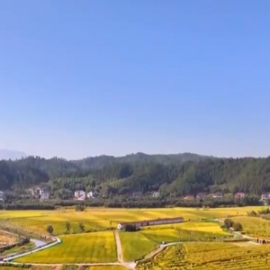 丰收背后尽显“科技范儿” 希望的田野绘就产业兴旺“振兴图” ...