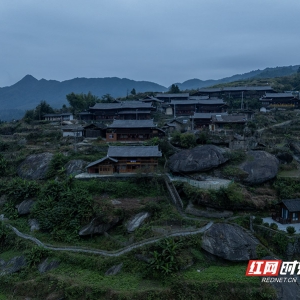 大美红图 | 那山那人那狗