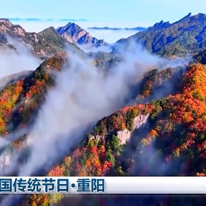 文化中国行丨登高远眺 踏秋赏景 一起感受重阳节文化之美