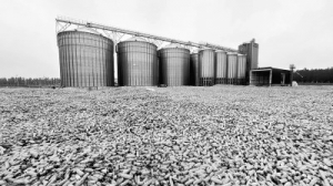 【经济界面】科技赋能，守护大国粮仓