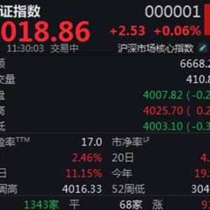 锂电概念股大涨，沪指半日微涨0.06%