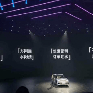 北京现代高管内涵当下汽车圈的营销乱象：“遥遥领先，反复洗脑”“大字吸睛，小字免责 ...