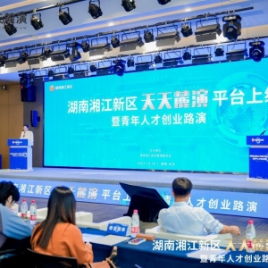 从“展示平台”到“创新引擎”，“天天麓演”跑出产融“加速度” ...