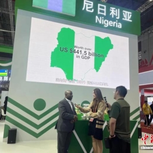 “独行快，众行远”谚语照进现实 “四叶草”见证中尼合作行稳致远 ...