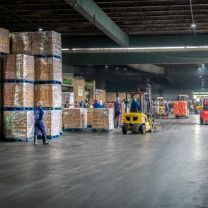 南非果商积极备货向中国出口优质核果