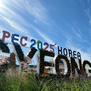 记者观察丨在APEC会议举办地触摸亚太合作发展新脉动