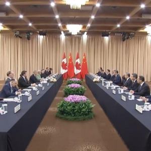 习近平会见加拿大总理卡尼