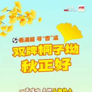 长图丨看湘超、寻“杏”运！双牌桐子坳秋正好