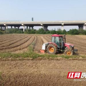 屈原管理区河市镇：夯实秋冬种根基 绘就来年丰收图