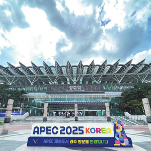 Beijing-Seoul joint efforts contribute to APEC's success