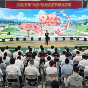 近三年中国邮政快递进村业务量累计超100亿件