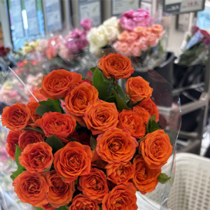 好物清单分享㉕丨19.9元起解锁会员店鲜花自由