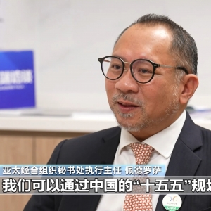 高端访谈丨亚太经合组织秘书处执行主任：期待汲取中国经验 ...