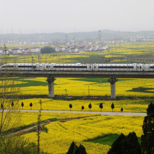 发现最美铁路丨铁龙穿梭，织就粤东最美画卷