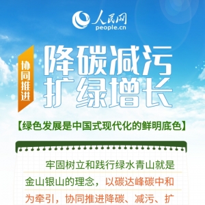 热词里的"十五五" | 加快全面绿色转型 产业如何做好“加减法”？ ...