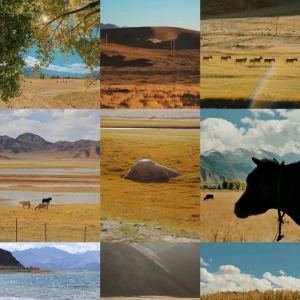 西藏秋季拍大片，不用专业相机就能框住三色美！