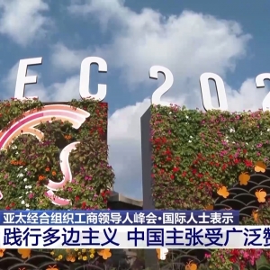 视频丨国际人士：高度赞同中国践行多边主义相关主张