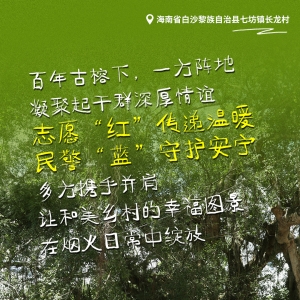 伴村成长⑩丨华盖亭亭映民生 海南长龙村百年古榕下的治理新生 ...
