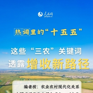 热词里的“十五五”丨这些“三农”关键词，透露增收新路径 ...