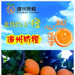 文化永州丨嶷山阿云：道州脐橙的甜之密码