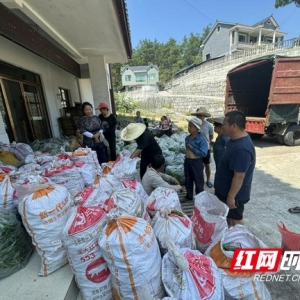 吉首市岩寨村奏响产业发展“新乐章”