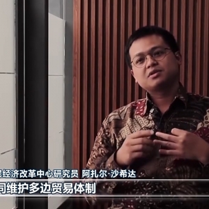 视频丨国际人士高度评价习主席APEC会议期间重要讲话和书面演讲 ...