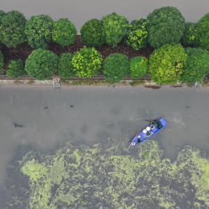 洞庭金秋蟹儿肥