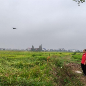 用服务彰显担当 人保财险攸县支公司全力保障粮食安全