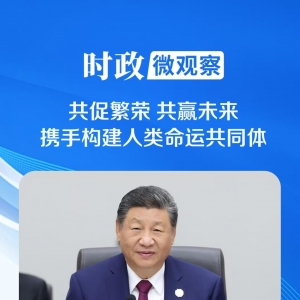 时政微观察丨促进世界和平与发展的中国担当