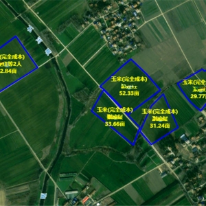 阳光财险：科技赋能农险 筑牢“三农”压舱石