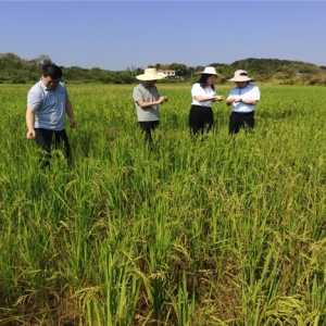 中华财险衡阳中支祁东县支公司深入乡镇查勘定损