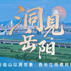 洞见岳阳丨城陵矶港，一枚楔入全球贸易链的内陆“制度创新”尖兵 ...