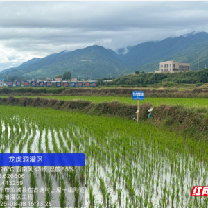 构建郴州“水立方”之节水篇：水润福城 点滴开始