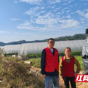 湖南首单巨灾大棚设施保险落地浏阳！人保财险提供458万风险保障 ...