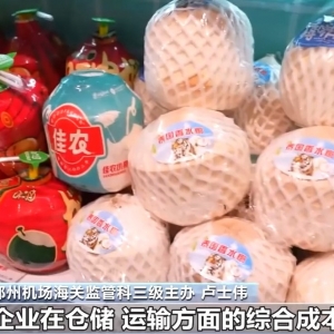 视频丨从硬联通到软联通 中国—东盟3.0版开启区域经济合作新篇章 ...