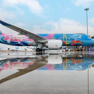 国内首架C919十五运会主题彩绘飞机首航